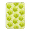 Recherche de vert de chaux magnets Fruit