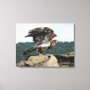 Search for patriotic canvas prints Bird