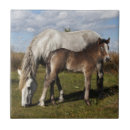 Recherche de de cheval carreaux Poulain