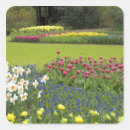 Search for sight stickers Cindy miller hopkins