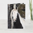Recherche de gitans vœux cartes Chevaux