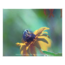 Search for bug eyes posters Nature