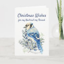 Search for bush christmas cards Xmas