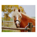 Recherche de porté posters Animal