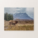 Search for glencoe puzzles Highlands