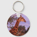 Search for giraffe picture keychains Mammal