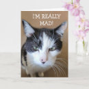 Search for get angry cards Humour