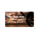Search for exotic return address labels Beach