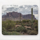 Search for superstition electronics Arizona
