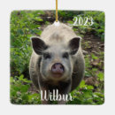 Search for pig ornaments Barn