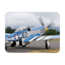 Search for propeller magnets History