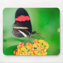 Recherche de profil tapis souris Fleur