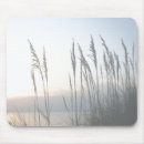 Search for dune electronics Seascapes