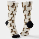 Search for labrador retriever socks Pattern