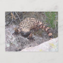 Recherche de monstre gila cartes postales Arizona