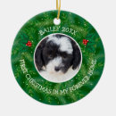Search for bernedoodle ornaments Puppy
