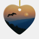 Search for fullmoon Bird