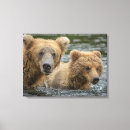 Search for bear paw art Animals in the wild