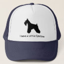Search for blue mini hats Pet