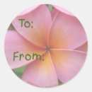 Search for pink plumeria stickers Flower