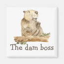 Search for beavers magnets Funny