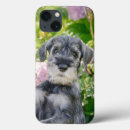 Search for schnauzer iphone cases Cute
