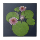 Recherche de libellule carreaux Jolie