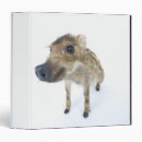 Search for wild one binders Nature