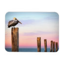 Search for posts magnets Florida