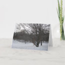 Search for photography new years cards New year's day