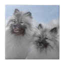 Recherche de peinture animale carreaux Chien
