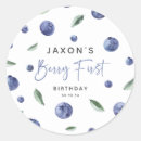 Search for blueberry fruit stickers 1st birthday party