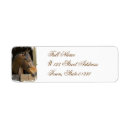 Search for thoroughbred horse return address labels Pony
