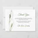Search for calla lilies thank you cards White