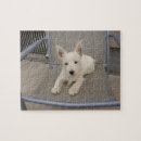 Search for west highland terrier puzzles Westie