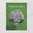 Search for excuse postcards Apology