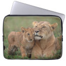 Search for serengeti cases Lion