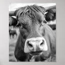 Recherche de cowboy posters Noir et blanc