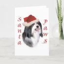 Search for havanese christmas cards Dog