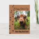 Search for from the pet cards Dog dad