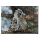 Recherche de singe planches à découper Primate