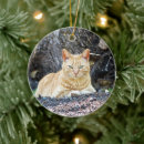 Search for ginger ornaments Cat