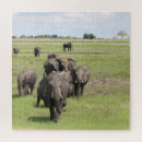 Search for elephant puzzles Animals