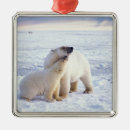 Search for mama bear ornaments Wildlife