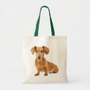 Recherche de daschund sacs Dachshund