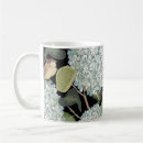 Recherche de hortensias bleus tasses Botanique