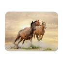 Recherche de petit galop Châtaigne
