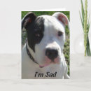 Recherche de belated birthday cards Dog
