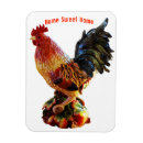 Recherche de rooster magnets Animal