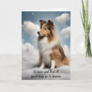 Recherche de lit mort cartes postales Mort de chien